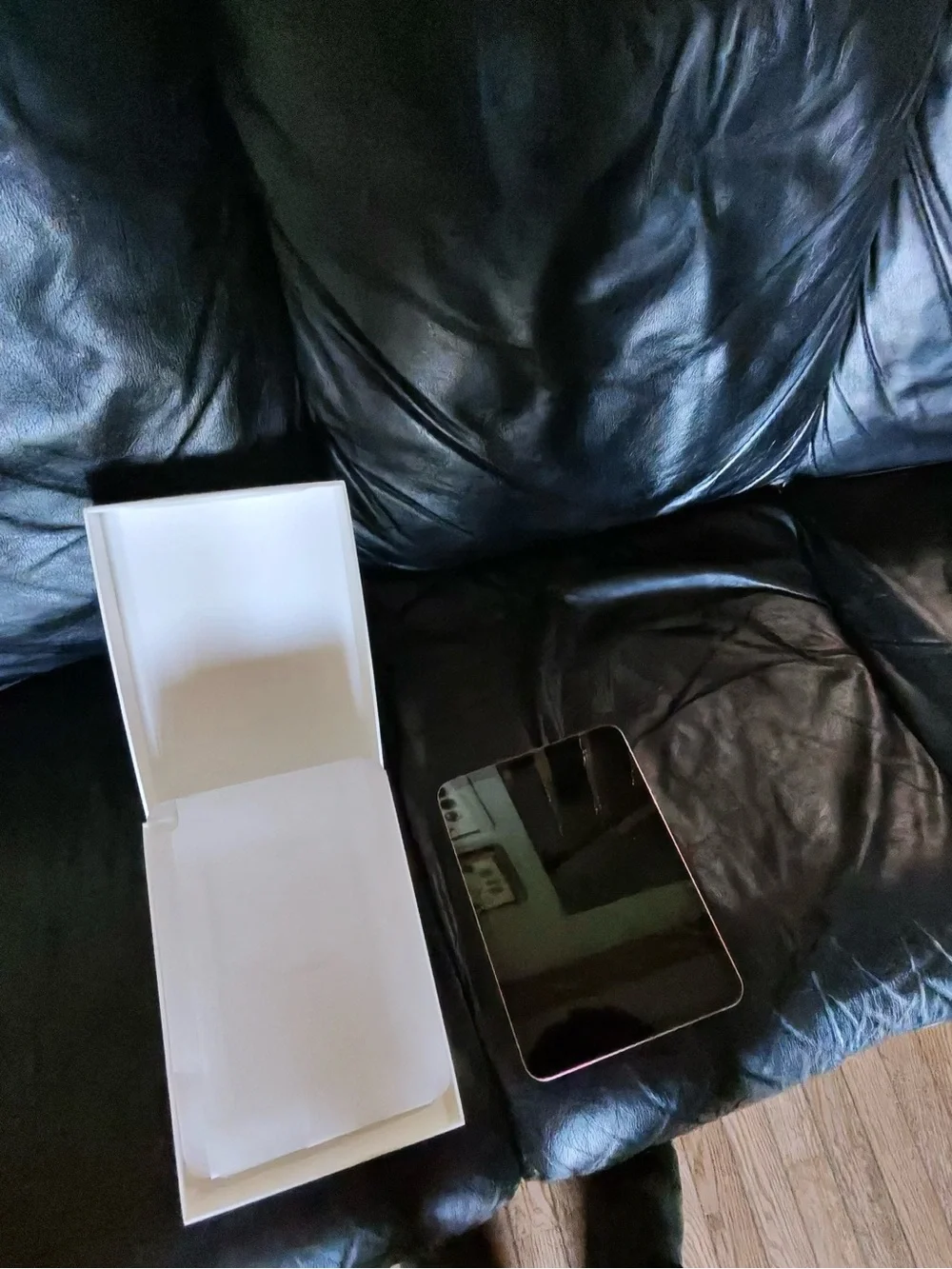 Apple iPad